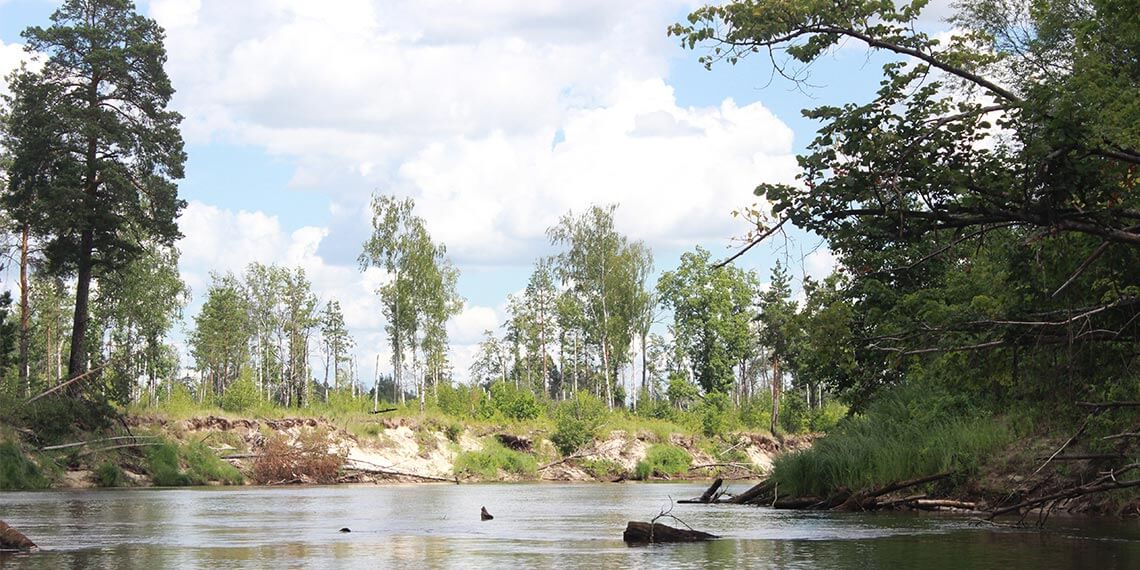 природа Нижегородской области река Керженец